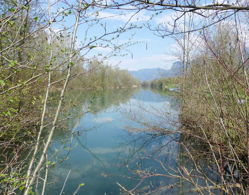 Bad5cA_Rhein_jpg-1367084118