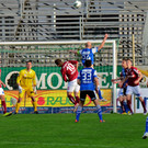 HMO_3347.JPG