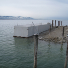Hafen Lochau Umbau 2010 _6__jpg-1267370115