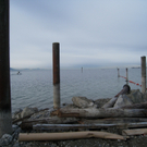 Hafen Lochau Umbau 2010 _16__jpg-1267370256
