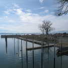 Hafen Lochau Umbau 2010 _31__jpg-1267370465