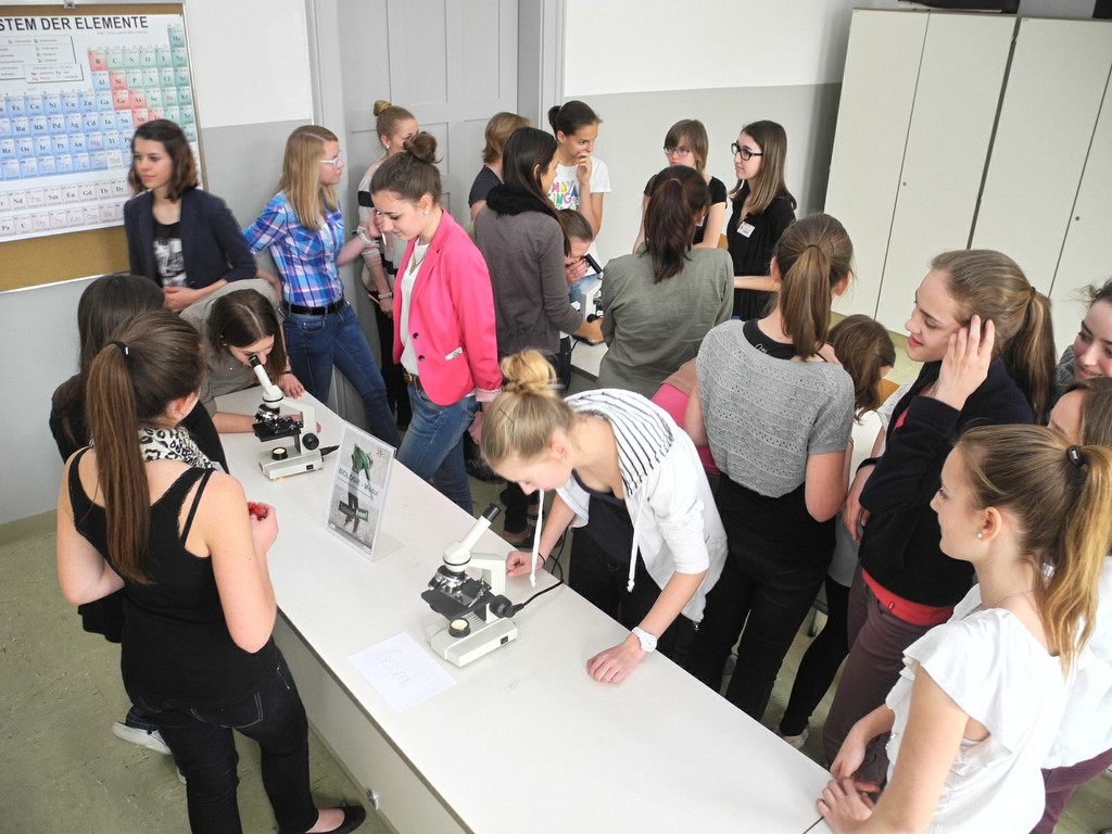 DSCN8462_JPG-1367122048