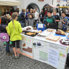 DSCN8528_JPG-1367125681