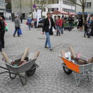 Setzlingsmarkt "erdreich"