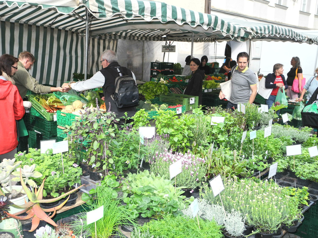 DSCN8534_JPG-1367126951