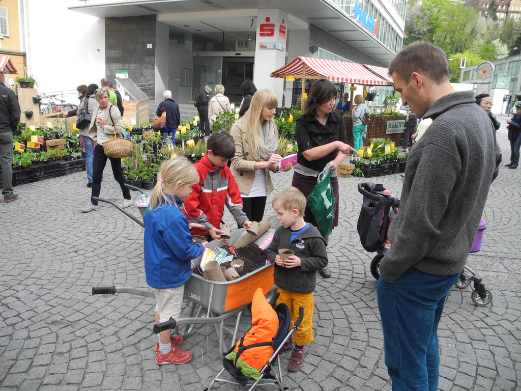 DSCN8519_JPG-1367126788