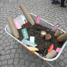 DSCN8514_JPG-1367126647