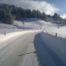 01022010109.jpg