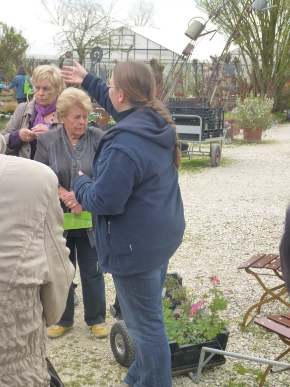 P1020436_JPG-1367147806