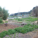 P1020456_JPG-1367148095