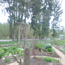 P1020460_JPG-1367148149