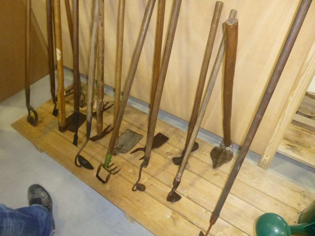 P1020504_JPG-1367148777