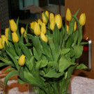 IMG_7747_JPG-1367150912