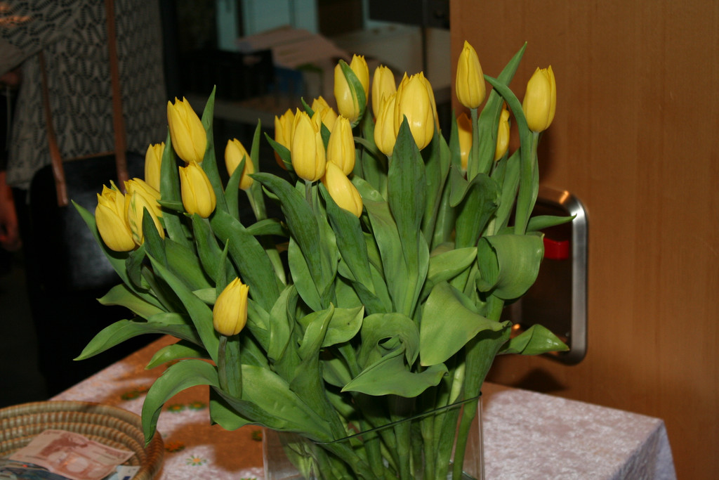 IMG_7747_JPG-1367150912