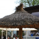 IMG_7411_JPG-1367153586