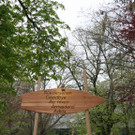 IMG_7416_JPG-1367153608