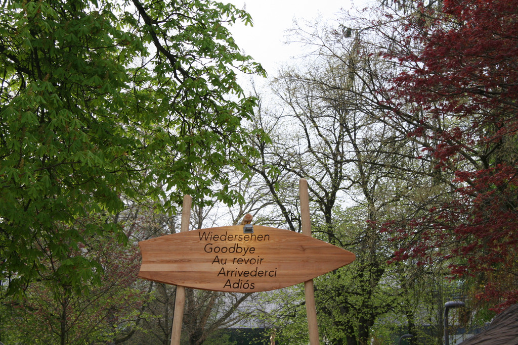 IMG_7416_JPG-1367153608