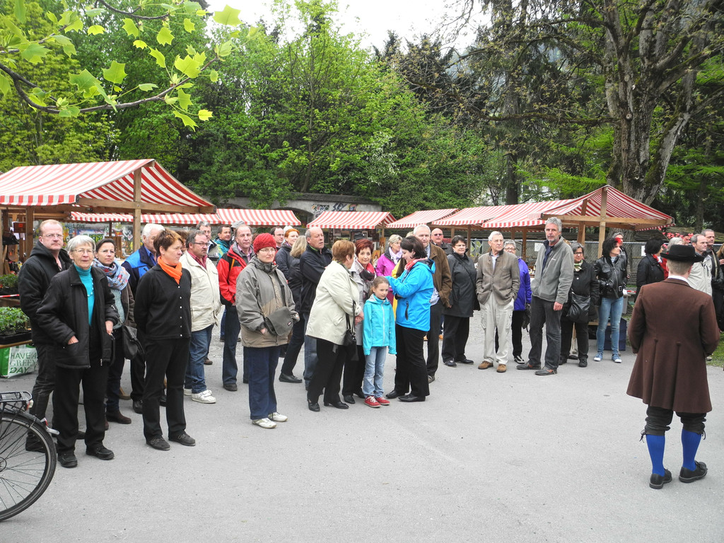 DSCN8576_JPG-1367153289