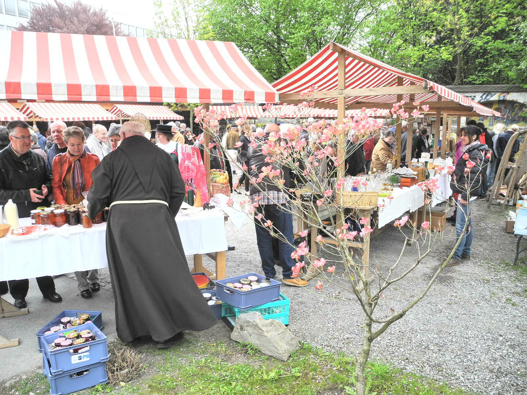 DSCN8598_JPG-1367153572