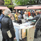 DSCN8610_JPG-1367153854