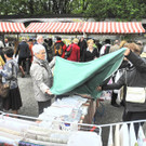 DSCN8611_JPG-1367153878