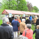 DSCN8618_JPG-1367153981