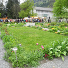 DSCN8632_JPG-1367154206