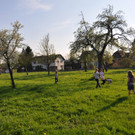 hof3_jpg-1367157602