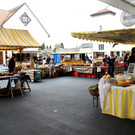 DSC06329.JPG