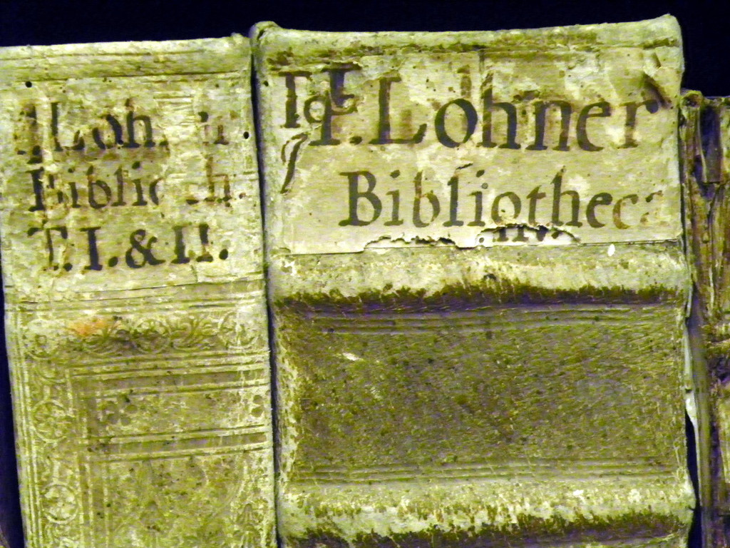 107_9568_jpg-1367176054