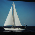 DSCN1704_JPG-1367176779