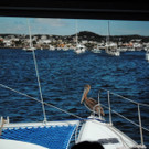 DSCN1726_JPG-1367176827