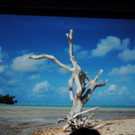 DSCN1757_JPG-1367176880