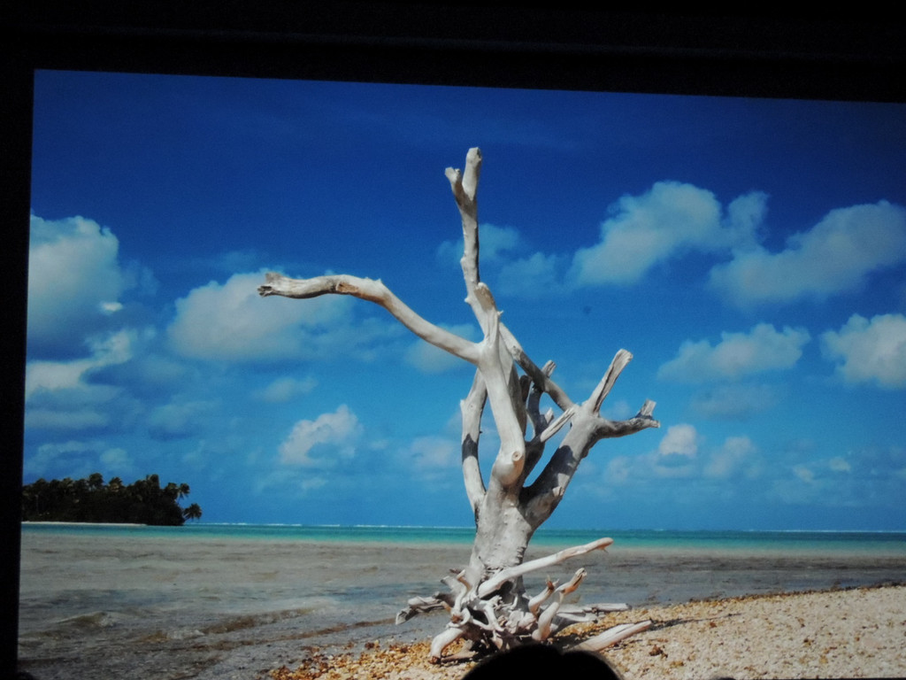 DSCN1757_JPG-1367176880