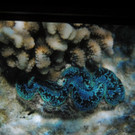 DSCN1758_JPG-1367176884