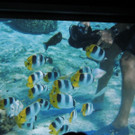 DSCN1760_JPG-1367176889