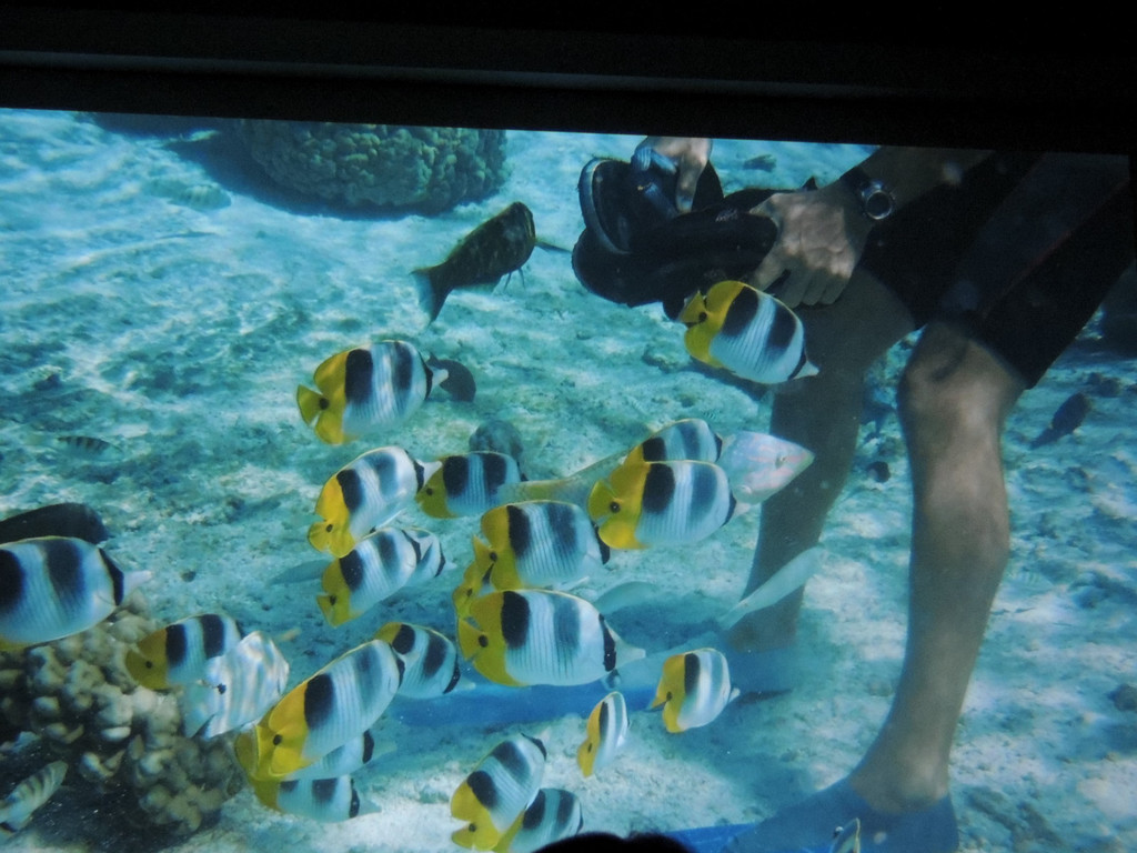 DSCN1760_JPG-1367176889