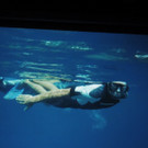 DSCN1761_JPG-1367176894