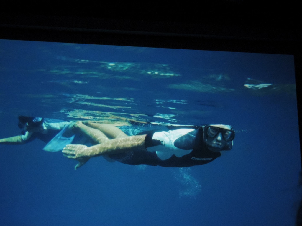 DSCN1761_JPG-1367176894