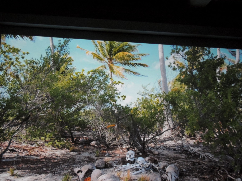 DSCN1762_JPG-1367176899