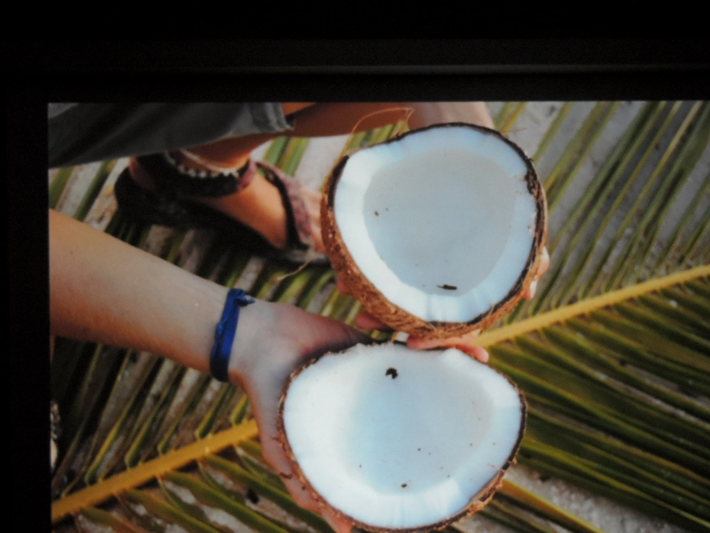 DSCN1767_JPG-1367176917