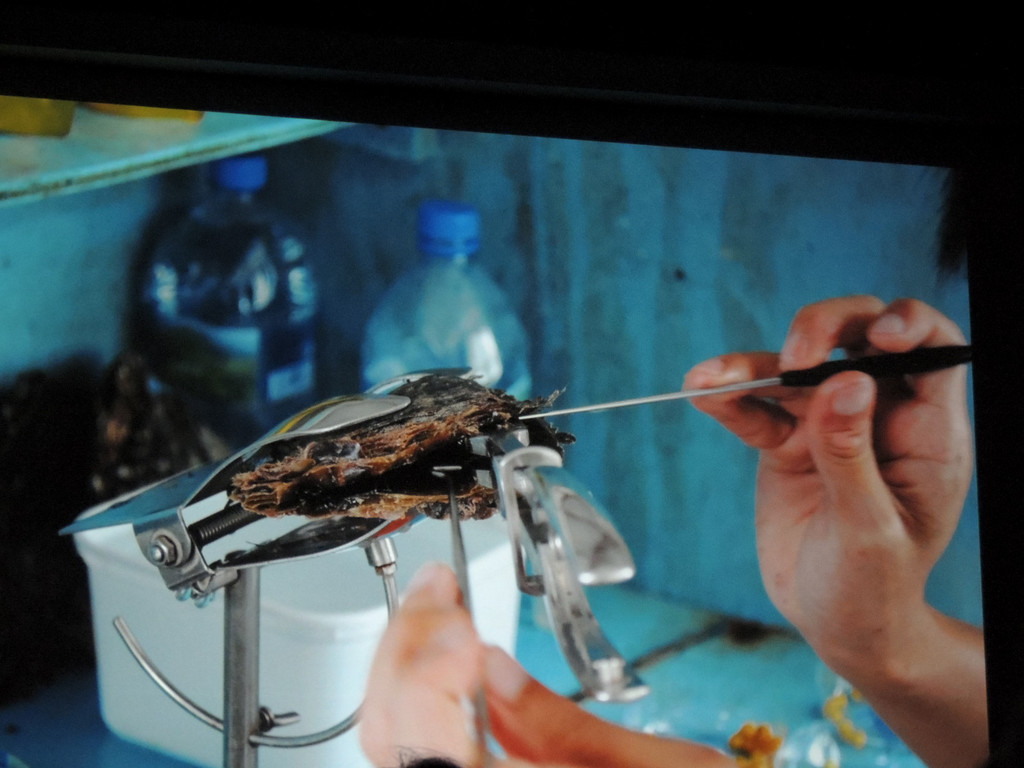 DSCN1773_JPG-1367176937