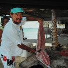 DSCN1776_JPG-1367176942