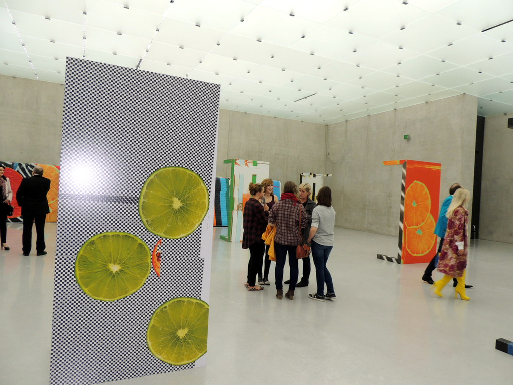 DSCN6363_JPG-1367179376