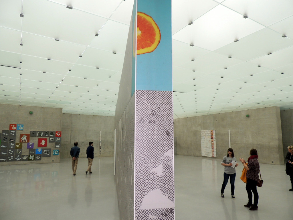 DSCN6408_JPG-1367179413