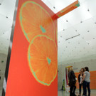 DSCN6379_JPG-1367179546