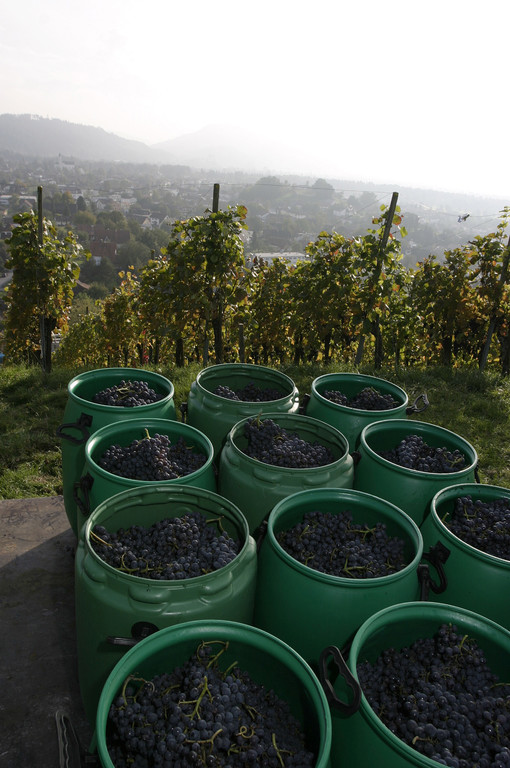 A Wein R__this 37_jpg-1367183492