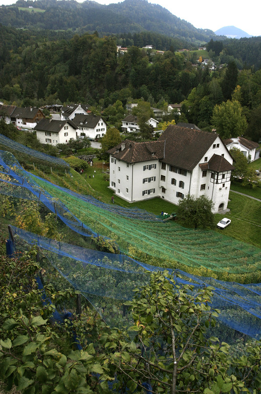 A Wein R__this 55_jpg-1367183501