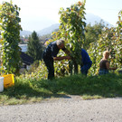 DSC04093_JPG-1367183531
