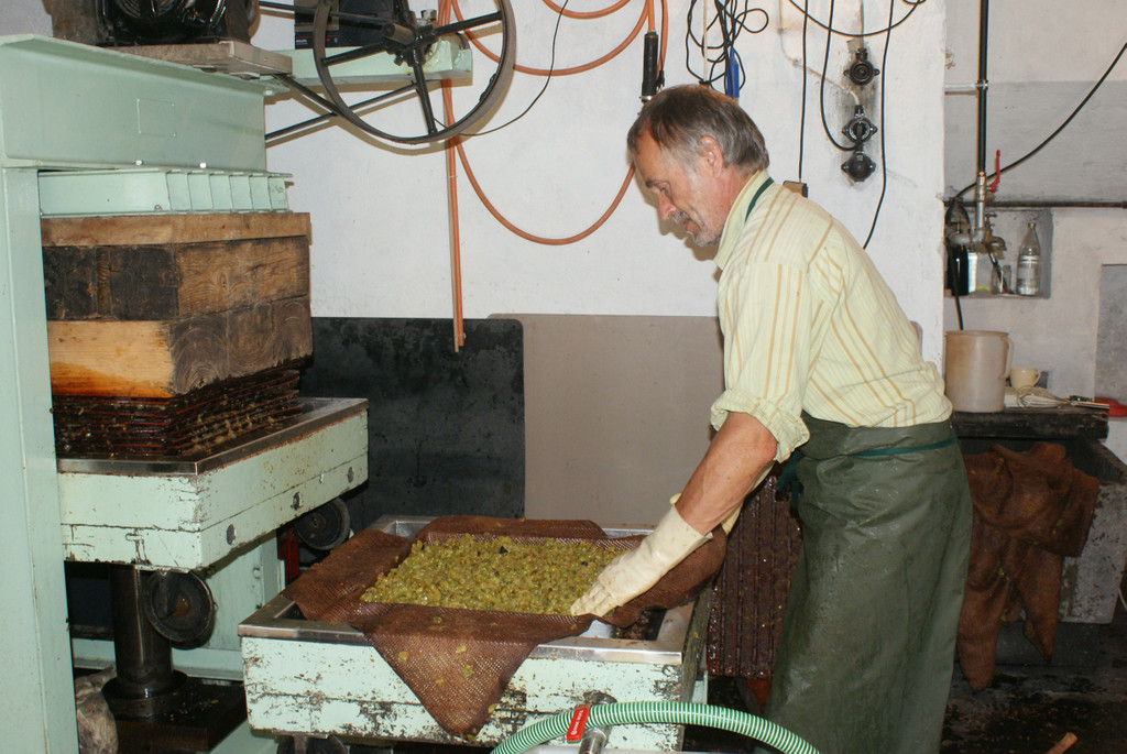 weinbauer franz nachbaur_jpg-1367183586